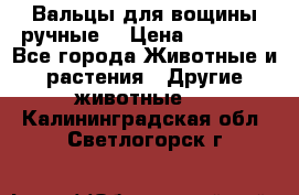 Вальцы для вощины ручные  › Цена ­ 10 000 - Все города Животные и растения » Другие животные   . Калининградская обл.,Светлогорск г.